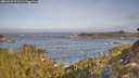 ./images/calvert/foggy-cove/20260429/foggy-cove20260429_091501M.jpg
