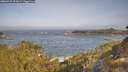 ./images/calvert/foggy-cove/20260429/foggy-cove20260429_092001M.jpg