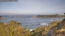 ./images/calvert/foggy-cove/20260429/foggy-cove20260429_092501M.jpg
