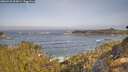 ./images/calvert/foggy-cove/20260429/foggy-cove20260429_093001M.jpg