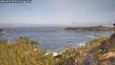 ./images/calvert/foggy-cove/20260429/foggy-cove20260429_093501M.jpg