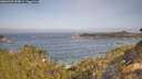 ./images/calvert/foggy-cove/20260429/foggy-cove20260429_094002M.jpg