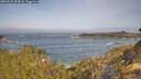 ./images/calvert/foggy-cove/20260429/foggy-cove20260429_094501M.jpg