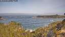 ./images/calvert/foggy-cove/20260429/foggy-cove20260429_095001M.jpg