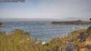 ./images/calvert/foggy-cove/20260429/foggy-cove20260429_095501M.jpg