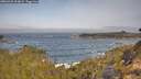 ./images/calvert/foggy-cove/20260429/foggy-cove20260429_100001M.jpg