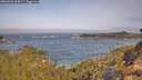 ./images/calvert/foggy-cove/20260429/foggy-cove20260429_100501M.jpg