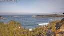 ./images/calvert/foggy-cove/20260429/foggy-cove20260429_101002M.jpg