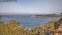 ./images/calvert/foggy-cove/20260429/foggy-cove20260429_101501M.jpg