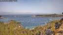 ./images/calvert/foggy-cove/20260429/foggy-cove20260429_102001M.jpg