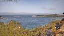 ./images/calvert/foggy-cove/20260429/foggy-cove20260429_102501M.jpg