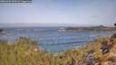 ./images/calvert/foggy-cove/20260429/foggy-cove20260429_103001M.jpg