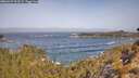 ./images/calvert/foggy-cove/20260429/foggy-cove20260429_103501M.jpg