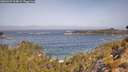 ./images/calvert/foggy-cove/20260429/foggy-cove20260429_104001M.jpg