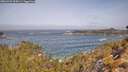 ./images/calvert/foggy-cove/20260429/foggy-cove20260429_104501M.jpg