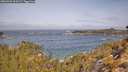 ./images/calvert/foggy-cove/20260429/foggy-cove20260429_105001M.jpg
