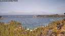 ./images/calvert/foggy-cove/20260429/foggy-cove20260429_105501M.jpg