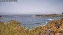 ./images/calvert/foggy-cove/20260429/foggy-cove20260429_110001M.jpg