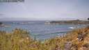 ./images/calvert/foggy-cove/20260429/foggy-cove20260429_110501M.jpg