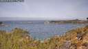 ./images/calvert/foggy-cove/20260429/foggy-cove20260429_111001M.jpg