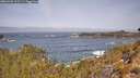 ./images/calvert/foggy-cove/20260429/foggy-cove20260429_111501M.jpg
