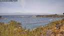 ./images/calvert/foggy-cove/20260429/foggy-cove20260429_112001M.jpg