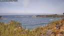 ./images/calvert/foggy-cove/20260429/foggy-cove20260429_112501M.jpg