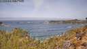 ./images/calvert/foggy-cove/20260429/foggy-cove20260429_113001M.jpg