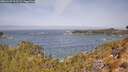 ./images/calvert/foggy-cove/20260429/foggy-cove20260429_113501M.jpg