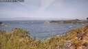 ./images/calvert/foggy-cove/20260429/foggy-cove20260429_114001M.jpg