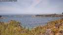 ./images/calvert/foggy-cove/20260429/foggy-cove20260429_114501M.jpg