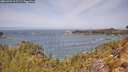 ./images/calvert/foggy-cove/20260429/foggy-cove20260429_115501M.jpg