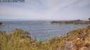 ./images/calvert/foggy-cove/20260429/foggy-cove20260429_120001M.jpg
