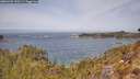 ./images/calvert/foggy-cove/20260429/foggy-cove20260429_120501M.jpg