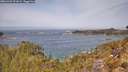 ./images/calvert/foggy-cove/20260429/foggy-cove20260429_121001M.jpg
