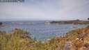 ./images/calvert/foggy-cove/20260429/foggy-cove20260429_121501M.jpg