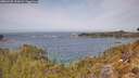./images/calvert/foggy-cove/20260429/foggy-cove20260429_122002M.jpg