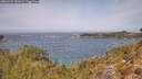 ./images/calvert/foggy-cove/20260429/foggy-cove20260429_123001M.jpg