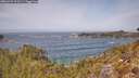 ./images/calvert/foggy-cove/20260429/foggy-cove20260429_123501M.jpg
