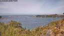 ./images/calvert/foggy-cove/20260429/foggy-cove20260429_124001M.jpg