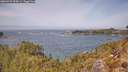 ./images/calvert/foggy-cove/20260429/foggy-cove20260429_124501M.jpg