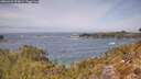 ./images/calvert/foggy-cove/20260429/foggy-cove20260429_125001M.jpg