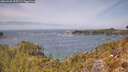 ./images/calvert/foggy-cove/20260429/foggy-cove20260429_125501M.jpg