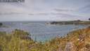 ./images/calvert/foggy-cove/20260429/foggy-cove20260429_130501M.jpg
