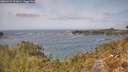 ./images/calvert/foggy-cove/20260429/foggy-cove20260429_131001M.jpg