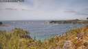 ./images/calvert/foggy-cove/20260429/foggy-cove20260429_131501M.jpg