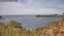 ./images/calvert/foggy-cove/20260429/foggy-cove20260429_132001M.jpg