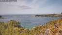 ./images/calvert/foggy-cove/20260429/foggy-cove20260429_133001M.jpg