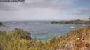 ./images/calvert/foggy-cove/20260429/foggy-cove20260429_133501M.jpg