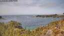 ./images/calvert/foggy-cove/20260429/foggy-cove20260429_134001M.jpg